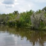 OTRA2014_1561 (September 03, 2014)